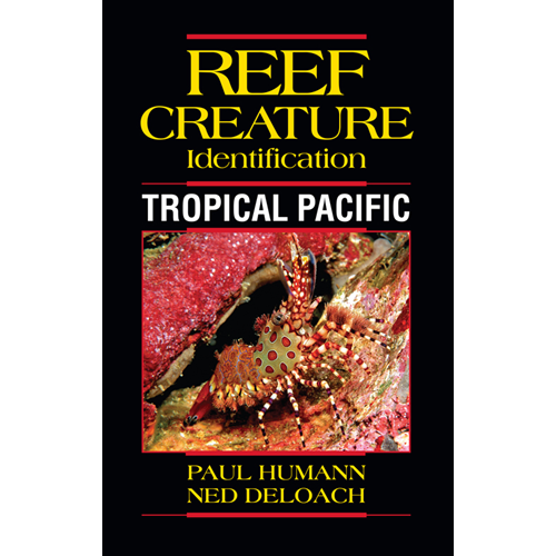 Reef Creature ID Tropical Pacific